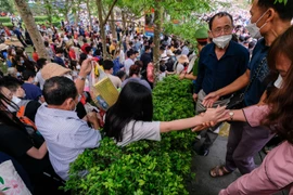 Trèo rào, trượt tường tháo chạy vì đường lên đền Hùng quá tải