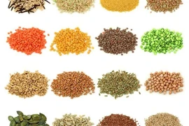 Không khuyến khích tự làm hạt giống