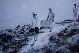 Hình ảnh Bác Hồ kéo lưới ở Sầm Sơn 60 năm trước