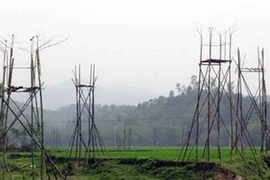 Ai điếu cho chim én