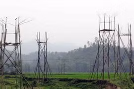 Ai điếu cho chim én