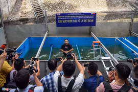 Người Hà Nội ngỡ ngàng khi chuyên gia Nhật Bản tắm trên sông Tô Lịch