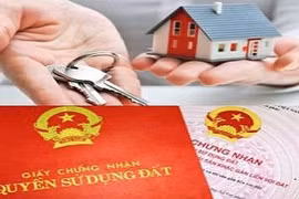 NHNN cảnh báo rủi ro khi nhận thế chấp quyền sử dụng đất