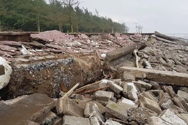 Nam Định: Tan hoang bờ kè Khu du lịch sinh thái Rạng Đông