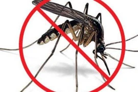 Thời điểm nên phun hóa chất diệt muỗi