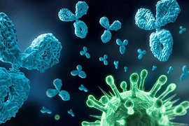 Thuốc kháng thể đơn dòng điều trị Covid-19