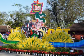 Huế khoác áo hoa rực rỡ sắc màu chiều 30 Tết