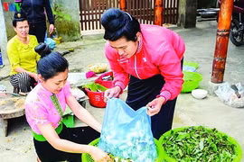 Xuân lên Tây Bắc ăn cả một mùa hoa