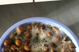 Tự làm nước giặt hữu cơ từ bồ hòn