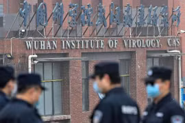 WHO công bố phát hiện mới: Dịch bệnh đã lây lan từ sớm, có 13 chủng virus ở Vũ Hán