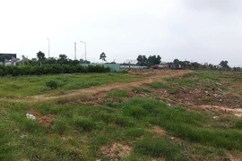 Xây dựng nghị định gia hạn nộp thuế, tiền thuê đất năm 2021