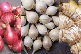 Món ăn phòng trị cảm cúm 