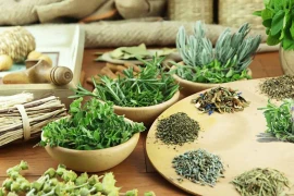 Các phương thuốc dân gian trị liệu tiểu đường