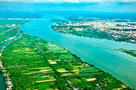 Quy hoạch Đồng bằng sông Cửu Long: Tăng tỷ trọng thủy sản, trái cây và giảm tỷ trọng lúa gạo