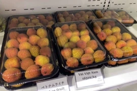 Vải sớm Bắc Giang bán tại Nhật giá 550.000 đồng một kg