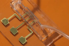 Cảm biến sinh học phát hiện lây nhiễm Covid-19 trong vài giây