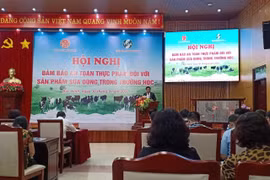 26 tỉnh chưa tìm được nguồn tài chính để triển khai sữa học đường