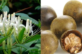 Đã khát, giải nhiệt với thức uống từ thảo mộc