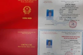 Chứng chỉ đấu thầu, quản lý dự án: Không học, không thi vẫn cấp