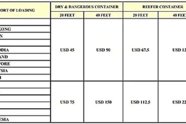 Doanh nghiệp thủy sản “than” cước vận tải biển tăng