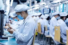 Doanh nghiệp FDI có nguy cơ trốn tránh thuế cao nhất