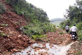 Hệ thống tự động cảnh báo lũ lụt và sạt lở đất