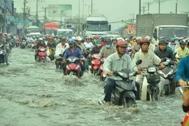 Chi gần 50 tỷ đồng xây dựng 7 công trình chống ngập úng