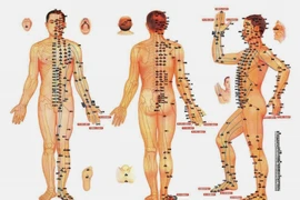 Phương pháp xem mạch để chẩn đoán bệnh 