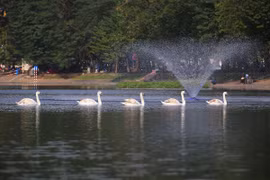 Hà Nội nghiên cứu tổ chức phố đi bộ hồ Thiền Quang