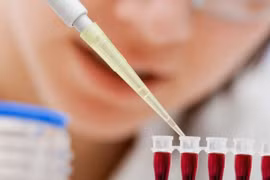 Tế bào gốc đang bị thổi phồng