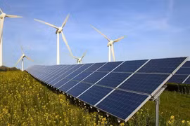 California: Hình mẫu của nền kinh tế trung hòa CO2