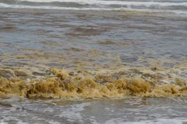 Nước biển không bỗng dưng chuyển màu