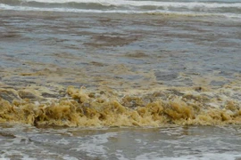 Nước biển không bỗng dưng chuyển màu