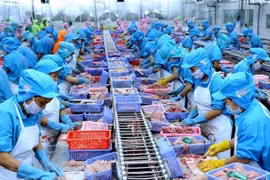 Hai doanh nghiệp xuất khẩu cá tra không phải chịu thuế chống bán phá giá