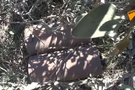 Syria: Gian nan cuộc chiến với bom mìn tự chế của thánh chiến ở Latakia