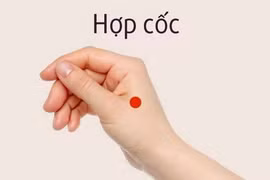 Tác động hợp cốc trị vai cứng đau