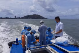 Một người lén thăm thuyền viên cách ly tại cảng Cát Lái