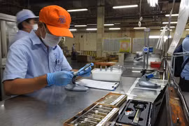 TPHCM đang cần từ 43.600 - 56.800 lao động