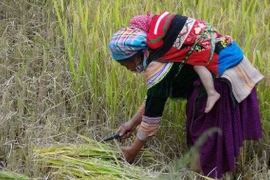 Những người phụ nữ nông thôn