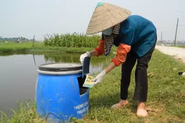 CropLife Việt Nam hợp tác giữa sử dụng thuốc bảo vệ thực vật an toàn và hiệu quả.