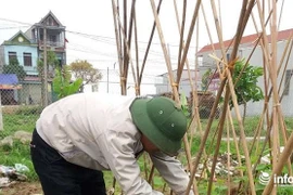 Lương công chức xã phường 'bèo bọt', vì sao còn cố làm?