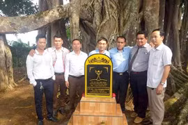 Cây đa 200 tuổi ở Đăk Nông được công nhận Cây Di sản Việt Nam