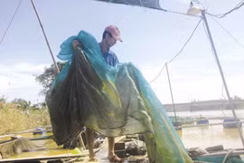 Đánh cược trên sông Bồ