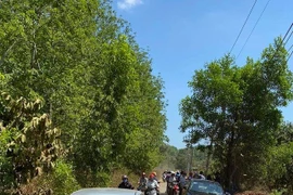 Đầu cơ "ăn theo" dự án đồn thổi và những rủi ro