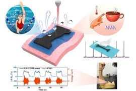 Đồ họa cảm biến. Ảnh Tạp chí Kỹ thuật Hóa học (2022).