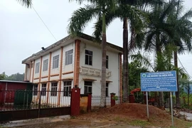 Công ty CP Giống lâm nghiệp Trung ương: Thiếu trách nhiệm, “phù phép” đất rừng thành nhà ở?