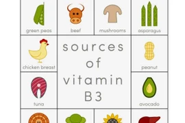 Những sự thật về vitamin B3
