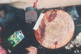 Vụ án Hồ Duy Hải: Có sai sót nhưng không làm thay đổi bản chất vụ án