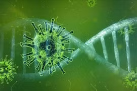 Biến thể Covid-19 mới phát hiện tại Việt Nam nguy hiểm ra sao?