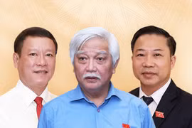 Trăn trở của những đại biểu rời nghị trường